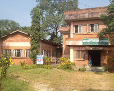 Agriculture & Forestry University, Rampur