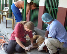 Swedish volunteers Aurelie & Ylva assisting Dr Surendra