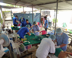 Two operating tables set up in Bariyarpur