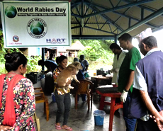 Begnas Lake neutering & vaccination camp