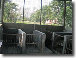 Kennel gates being fabricated and fitted, wire mesh now in place