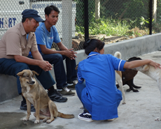 Despite the fuel and supplies shortages, the Bharatpur clinic remains open and is busy with un-neutered dogs