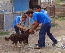 Anti-rabies vaccination in Bharatpur