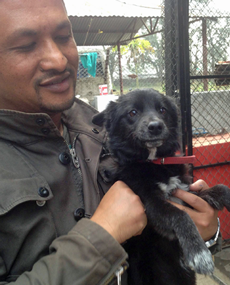 Blacky, the abandoned pup featured in the November newsletter, has recovered from his skin problems and is pictured here with Roshan Piya, his new owner