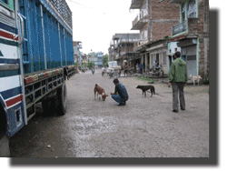 Bharatpur is situated on the edge of the flat plains and is primarily a market and agricultural town