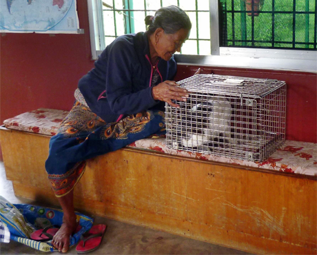 Bhunti and her elderly owner