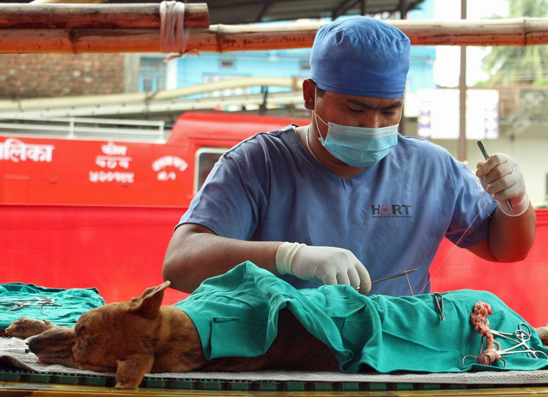 Dr Bikash Shrestha operating during the camp at Birtamod