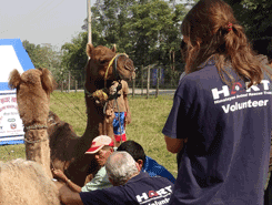 Camel treatment