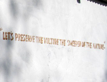 The slogan on the wall of the Vulture Observatory reads "Let's preserve the vulture, the sweeper of the nature"