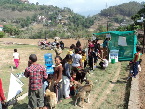 Carers and their dogs queuing for registration