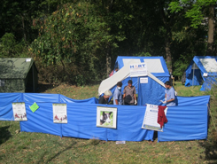 Barriers were erected to channel the animals into the pre-surgery area and to exclude spectators