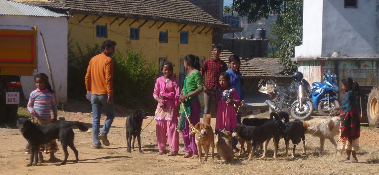 Dogs and owners queueing at neuter and vaccination camp in Salyan