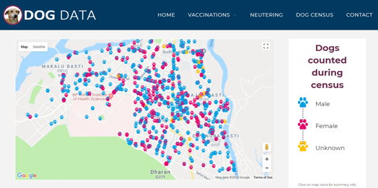 Screenshot from the Dog Data website showing the location and sex of dogs counted during the Dharan 2018 census