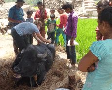 Dr Cate Sutton & Dr Donald Hudson joined our second mission to Sindupalchowk