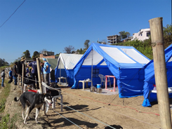 The camp was set up on the outskirts of Godavari