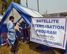 Help Animals International kindly contributed to the cost of the eastern camps