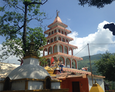 The dog was living at this beautiful Hindhu Temple