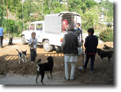 Villagers bringing their dogs to our collecting point