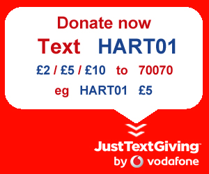 JustTextGiving info panel