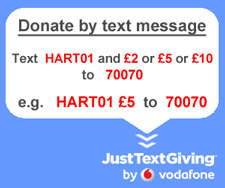 JustTextGiving info panel