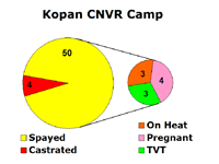 Kopan 2012 statistics