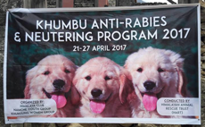 Khumbu anti-rabies & neutering program banner