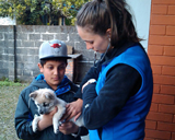 Dr Minia Coiacetto examines a young pup