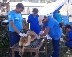 Dogs Trust have generously supported our work in the new, outlying, wards of Pokhara