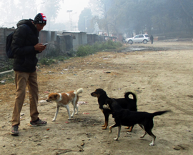 Some dogs were easier to count than others! GP Dahal recording their details into our smart-phone dog census app