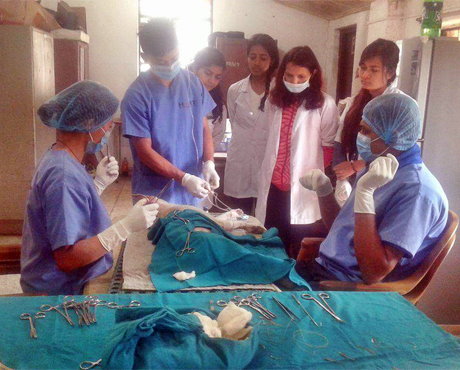 Dr Sanjiv demonstrated spaying and castration surgery to small groups of vet students at a time