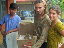 A kitten was brought to our Pokhara Centre by two tourists