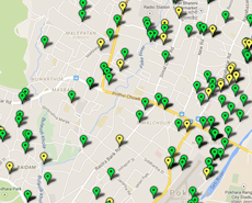 A small section of the PKR census map - locations of spayed female dogs shown by green markers, non-spayed by yellow