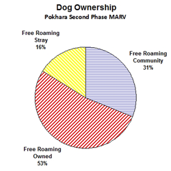 Pokhara dog ownership - 2nd phase anti-rabies campaign