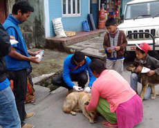 The 2014 MARV campaign in Pokhara was started in late March