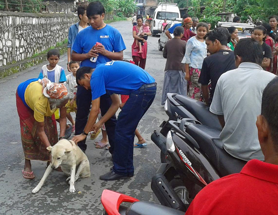 Anti-rabies vaccinations on the streets of Pokhara
