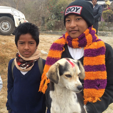 The red mark on this dog's head is from where a short duration livestock marker has been applied and indicates to the staff and the local people that this dog has been freshly vaccinated