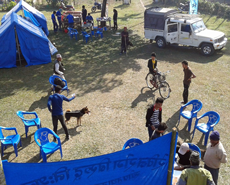 General view of the Sani Arjun spaying camp