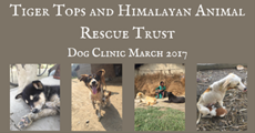 Tiger Tops & HART Dog Clinic March 2017