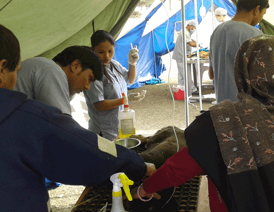 Pre-med tent at the Valam camp