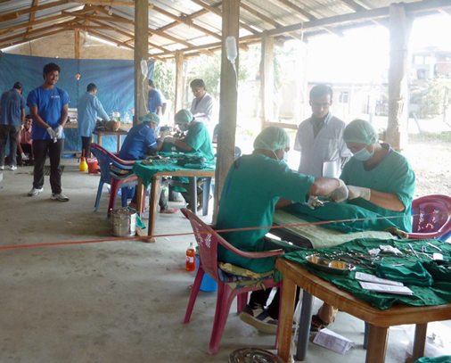 The large number of veterinary staff participating enabled us to run two operating tables
