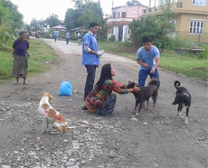 Out vaccinating on the streets of Sauraha