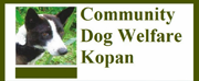 Community Dog Welfare Kopan